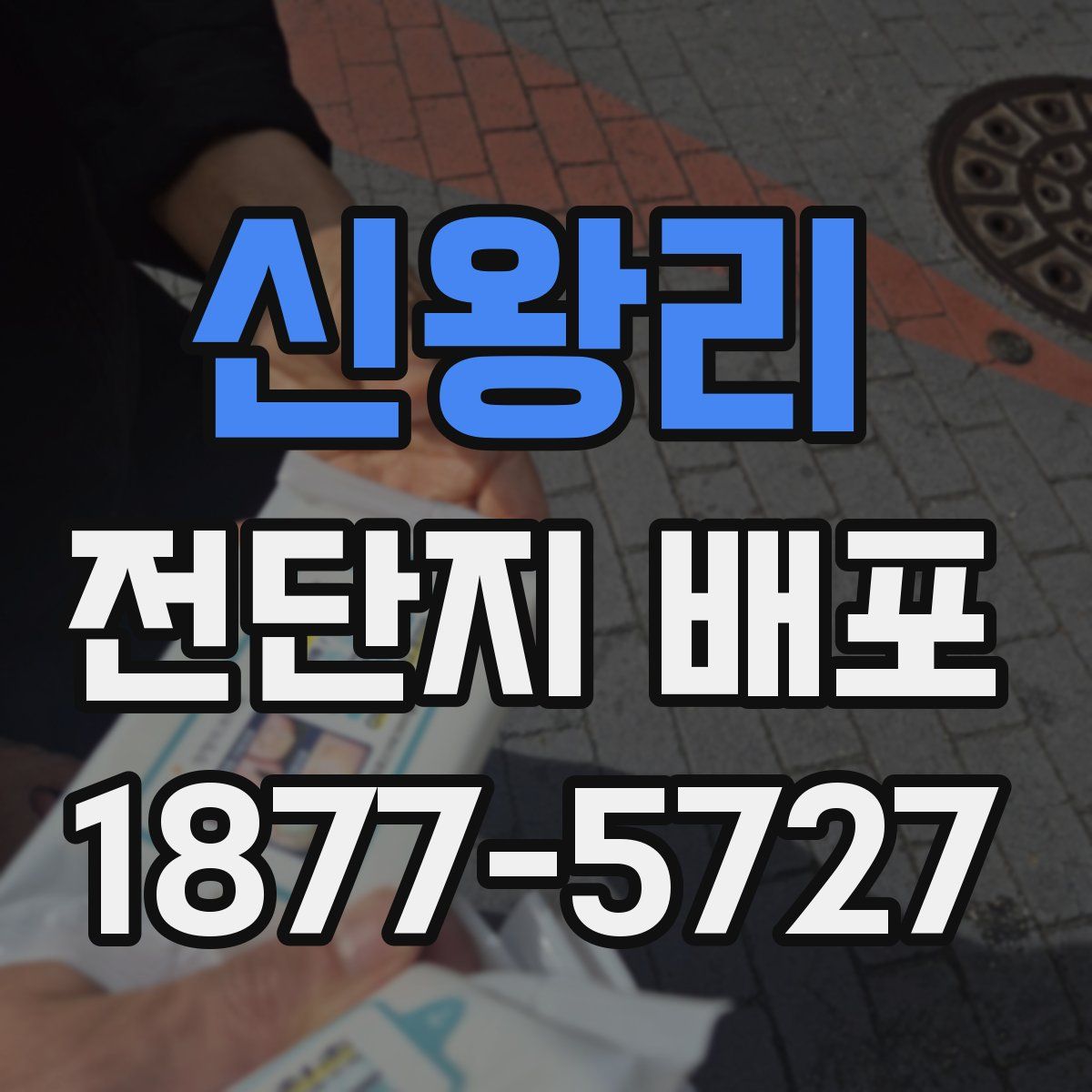 신왕리 전단지 배포