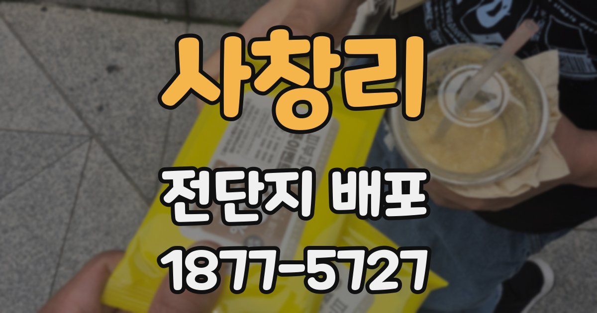 사창리 전단지 배포