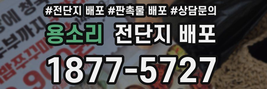 용소리 전단지 배포