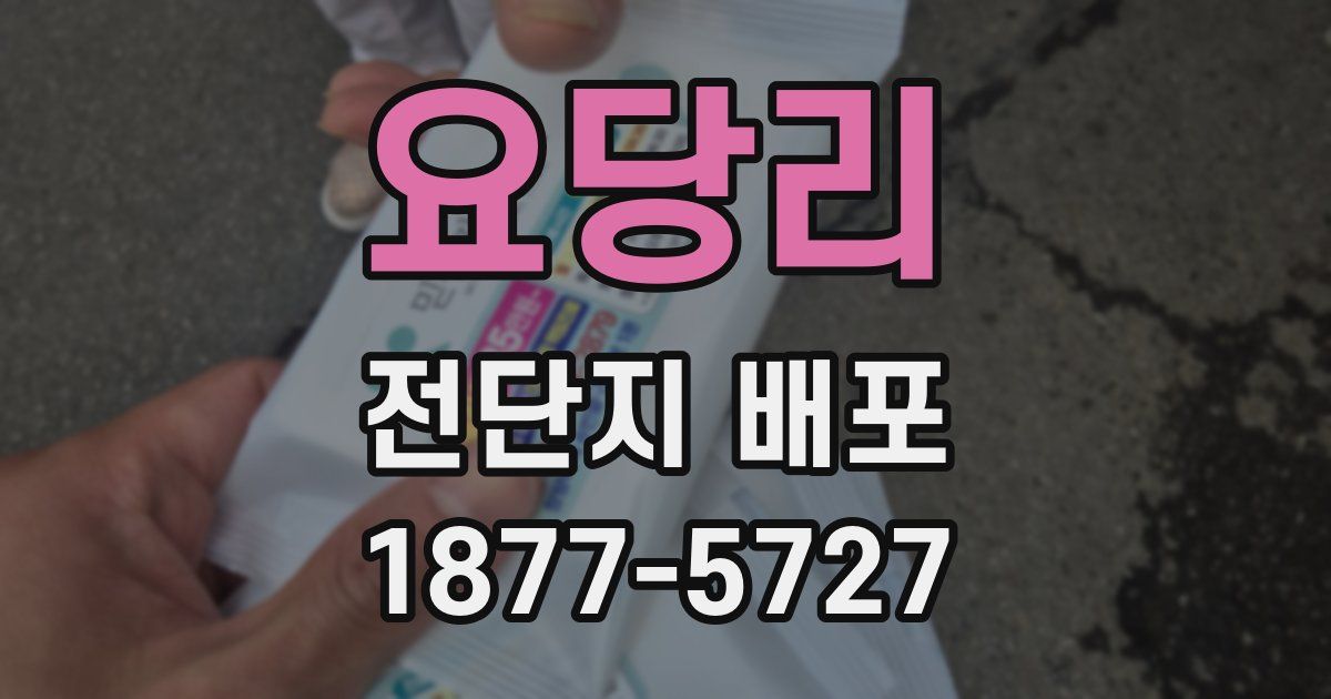 요당리 전단지 배포