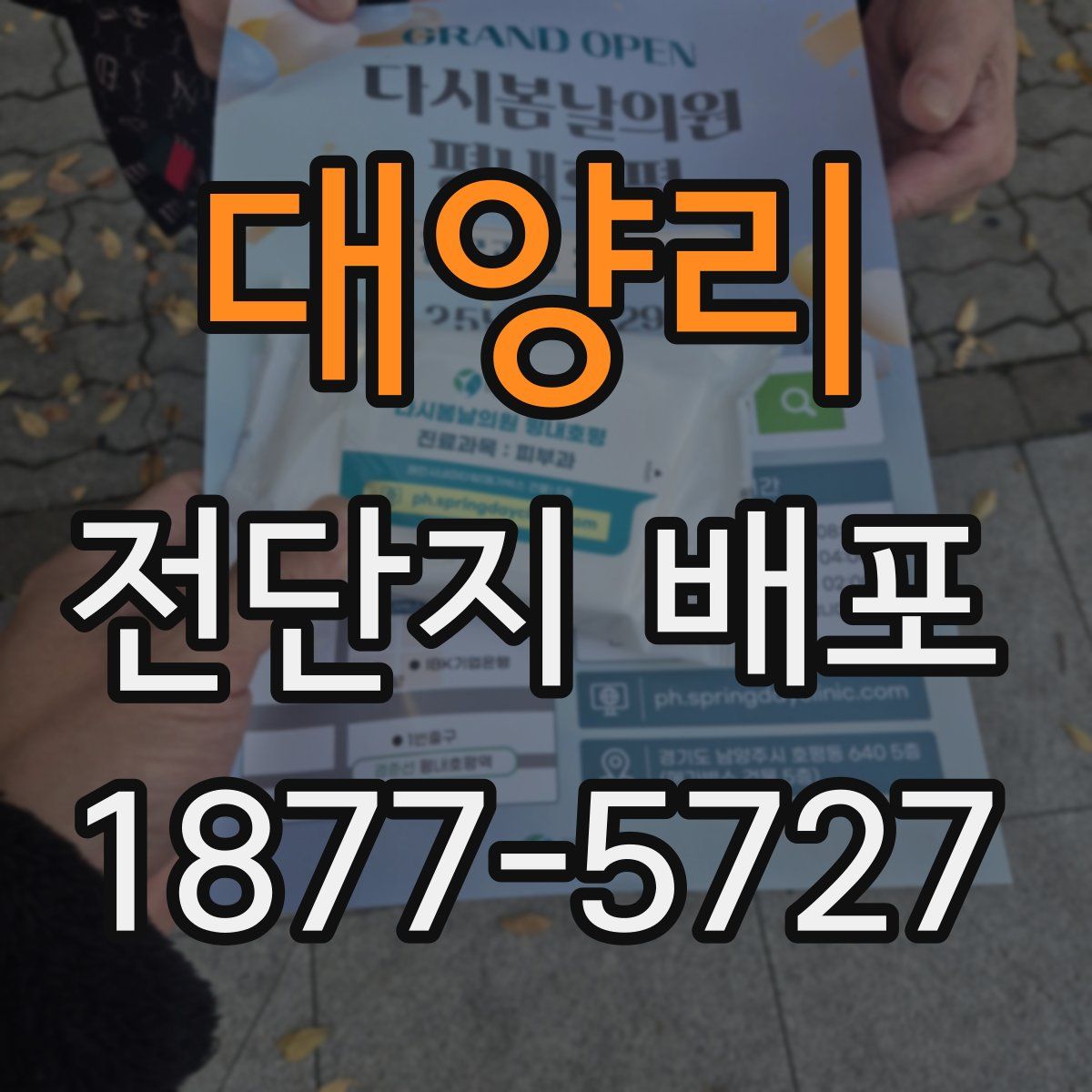 대양리 전단지 배포