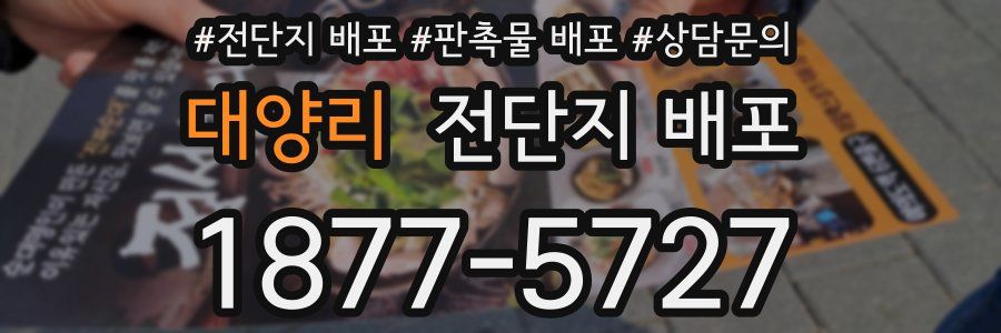 대양리 전단지 배포