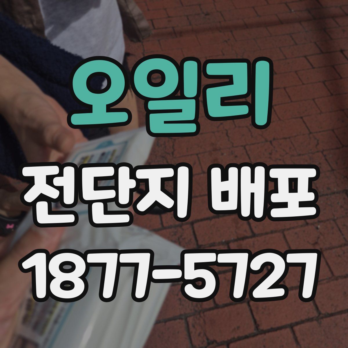 오일리 전단지 배포