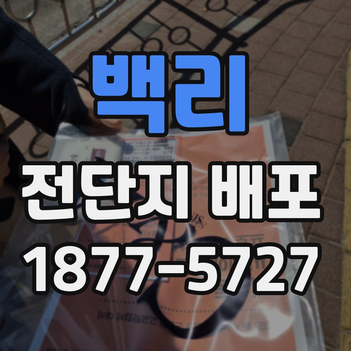 백리 전단지 배포
