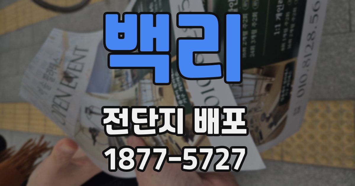 백리 전단지 배포