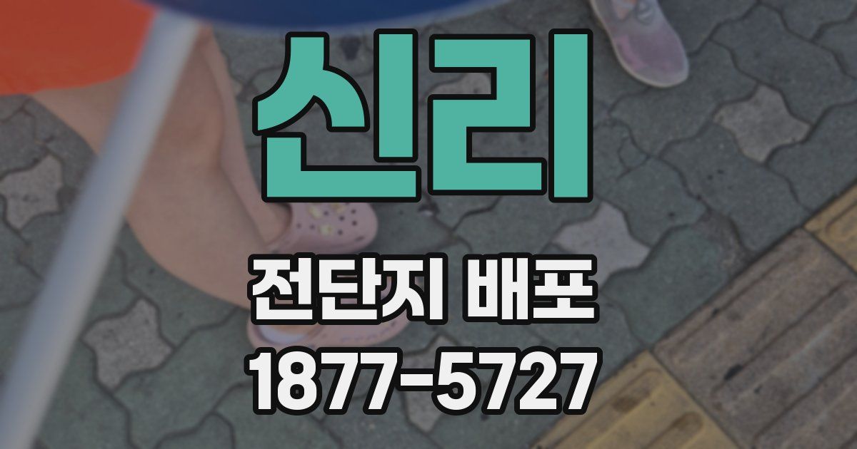 신리 전단지 배포
