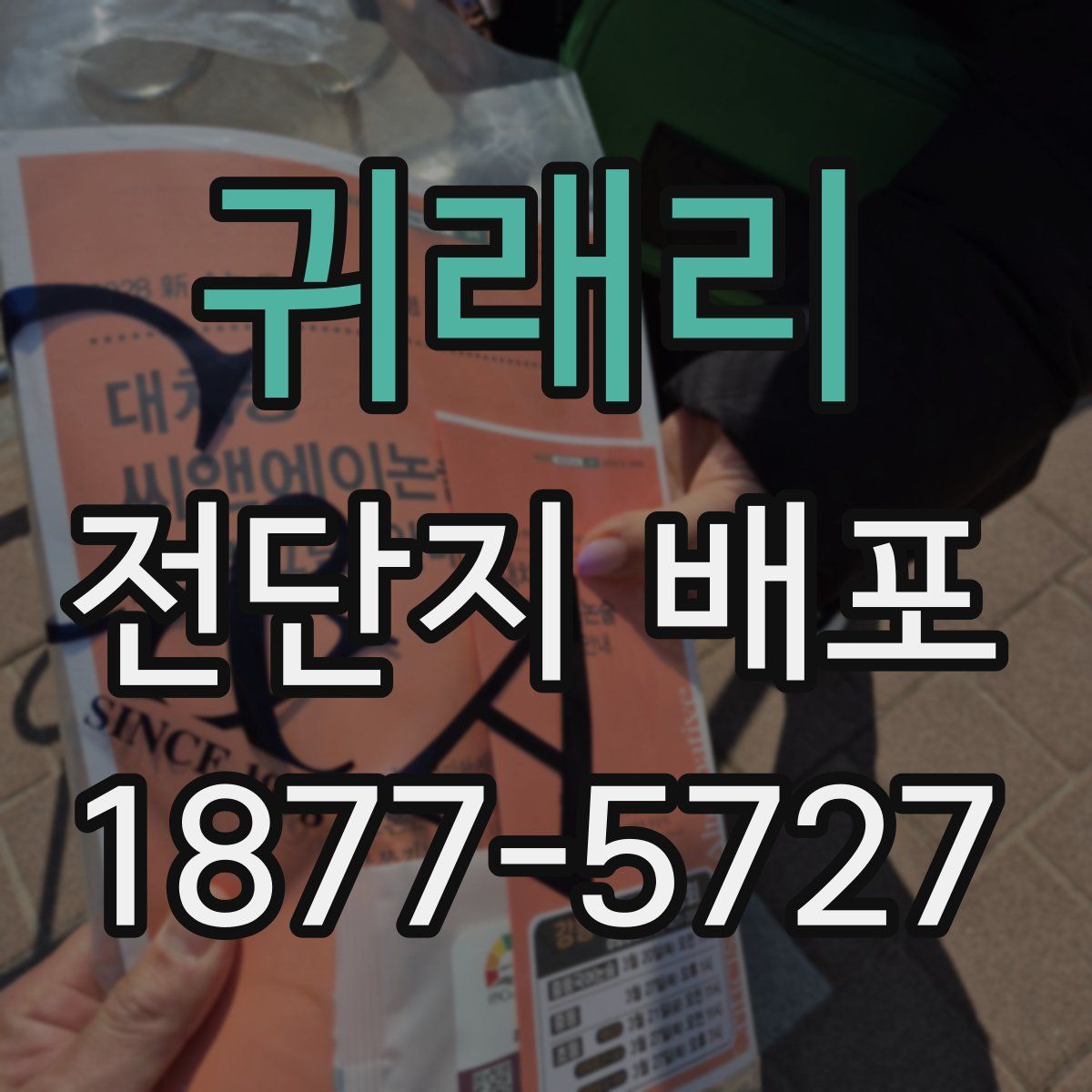 귀래리 전단지 배포