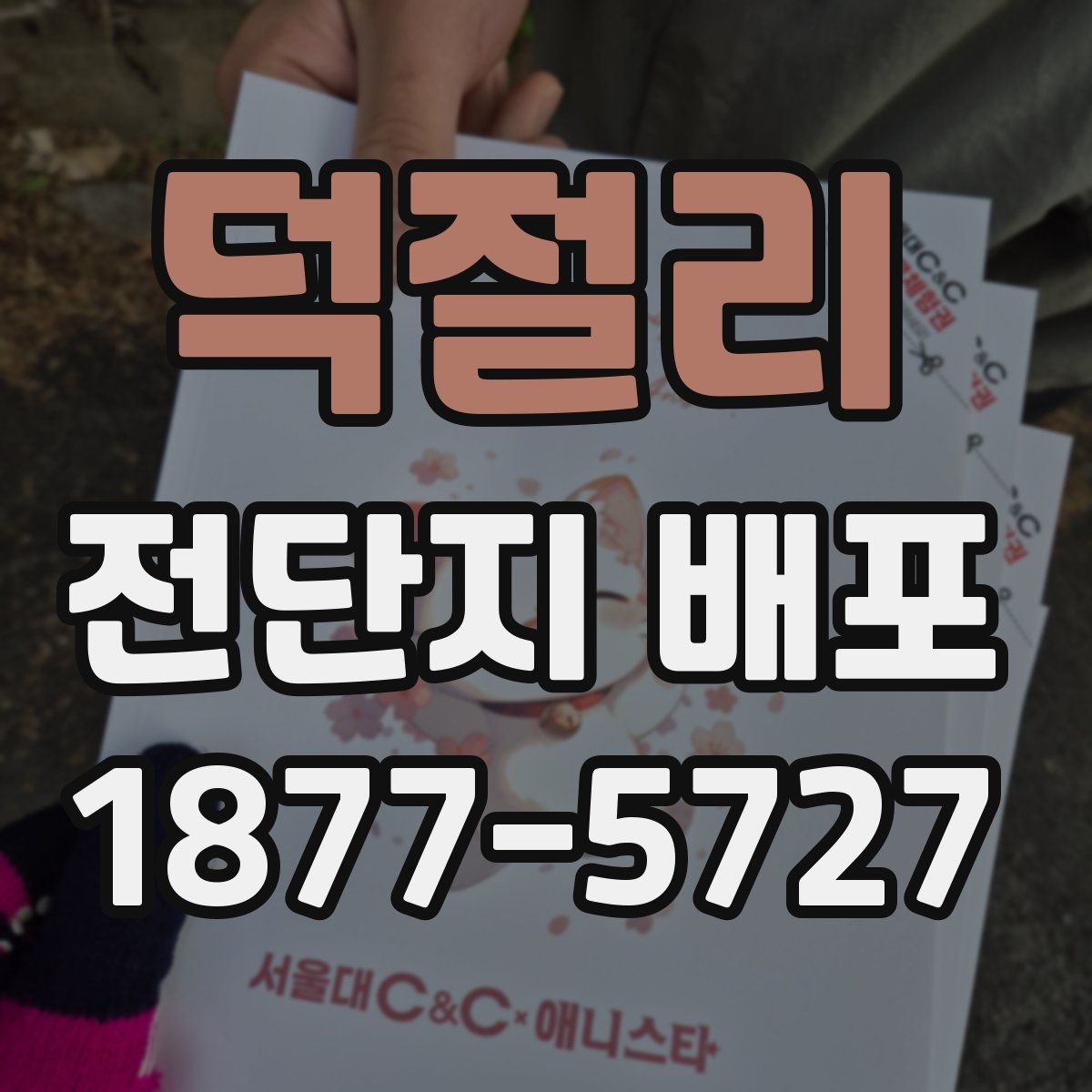 덕절리 전단지 배포