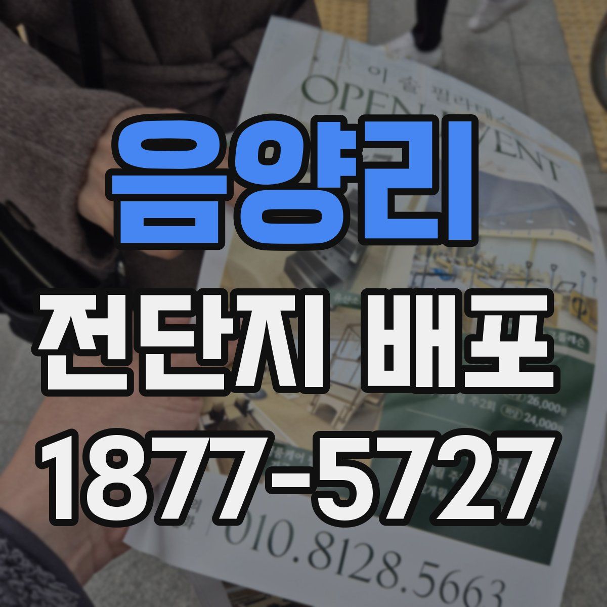 음양리 전단지 배포