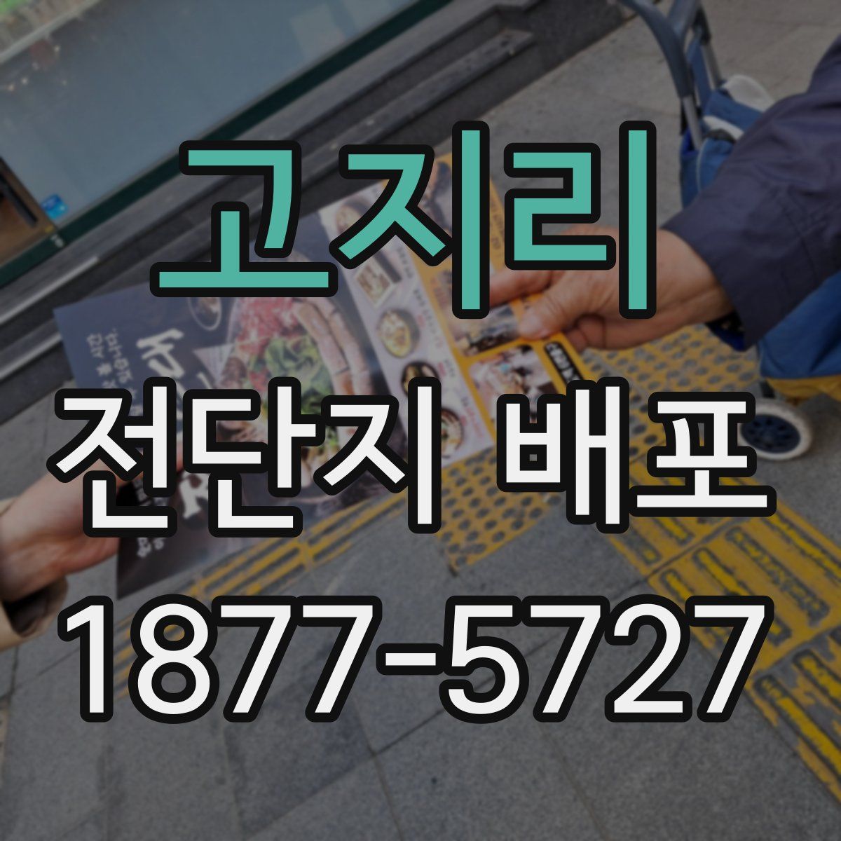 고지리 전단지 배포