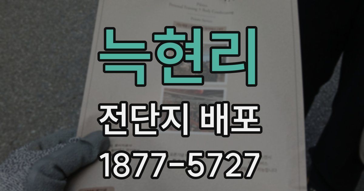 늑현리 전단지 배포