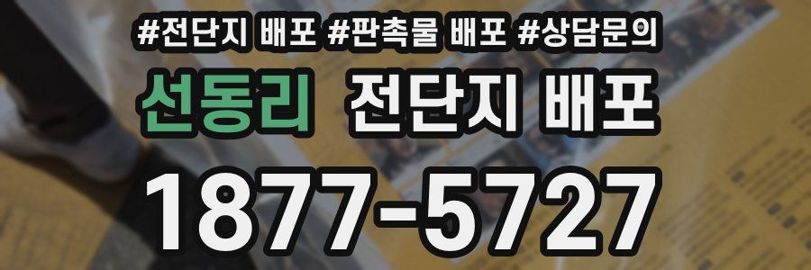 선동리 전단지 배포