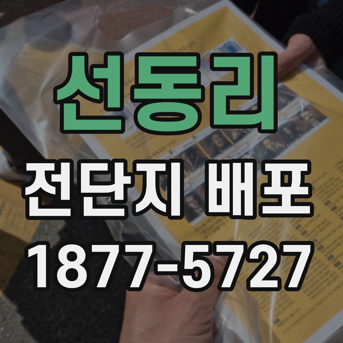 선동리 전단지 배포