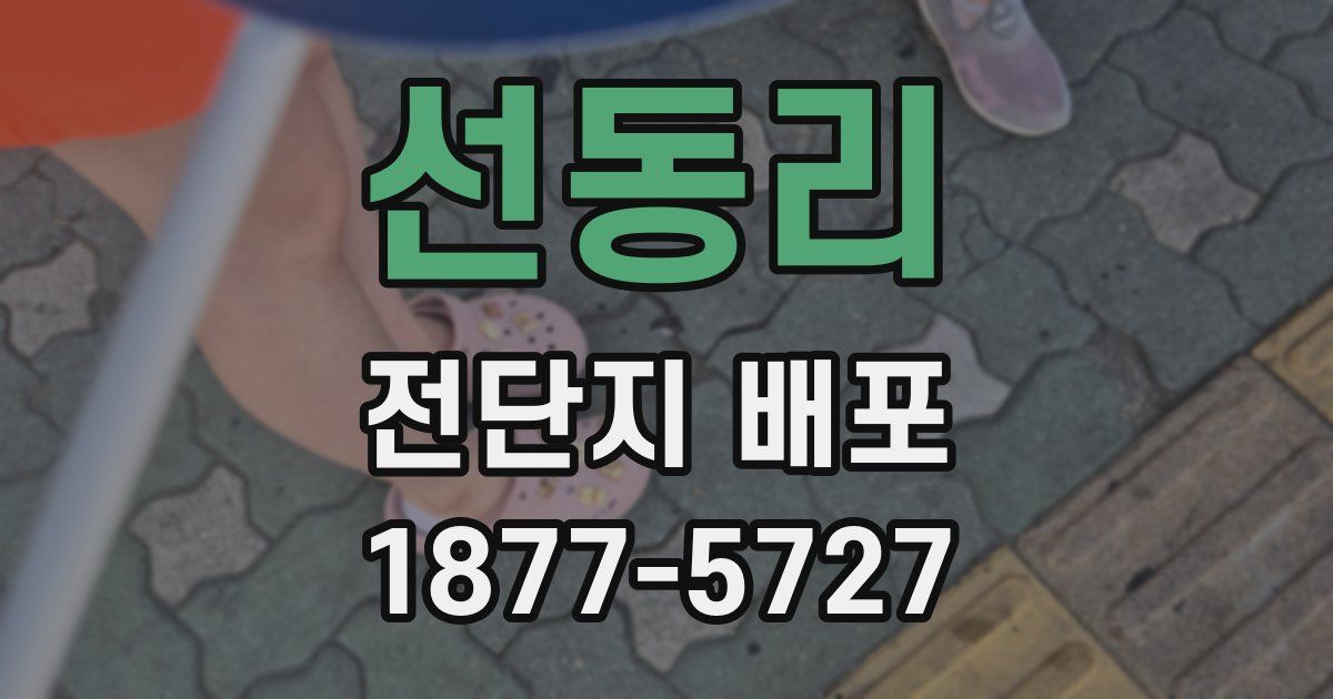 선동리 전단지 배포