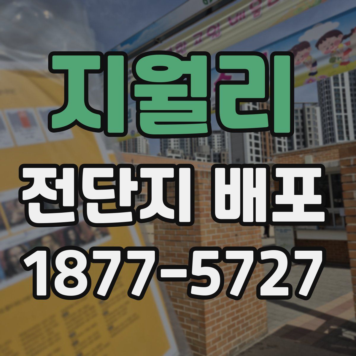 지월리 전단지 배포
