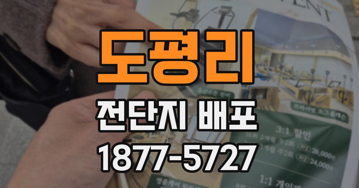 도평리 전단지 배포