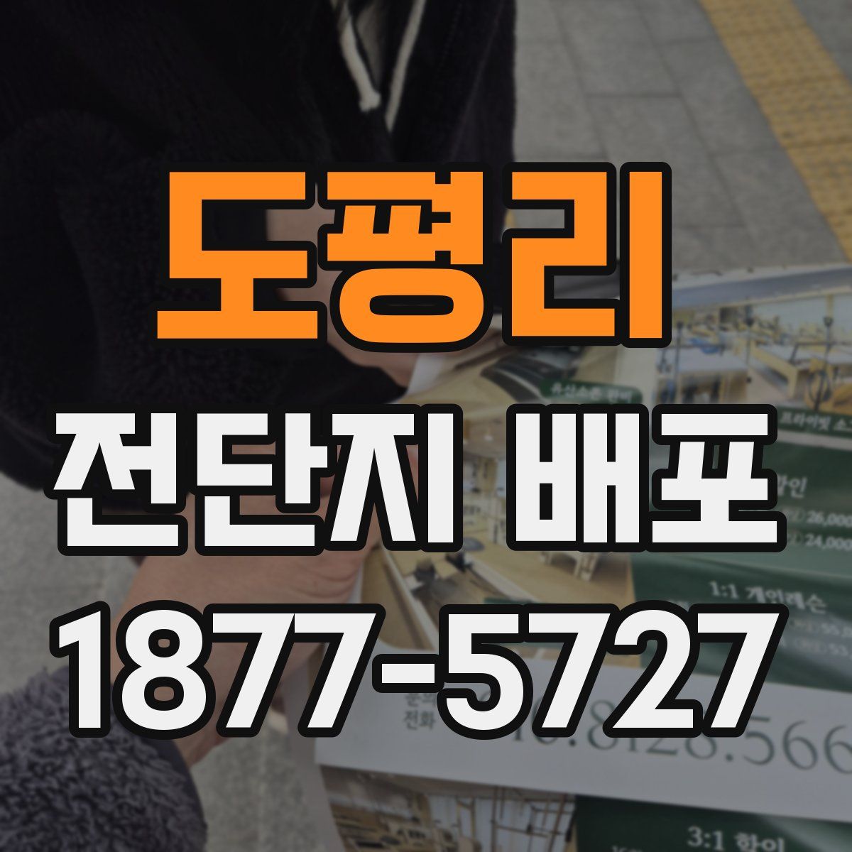 도평리 전단지 배포