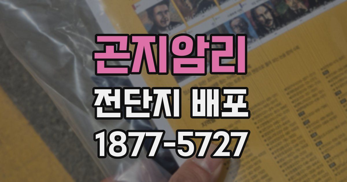 곤지암리 전단지 배포