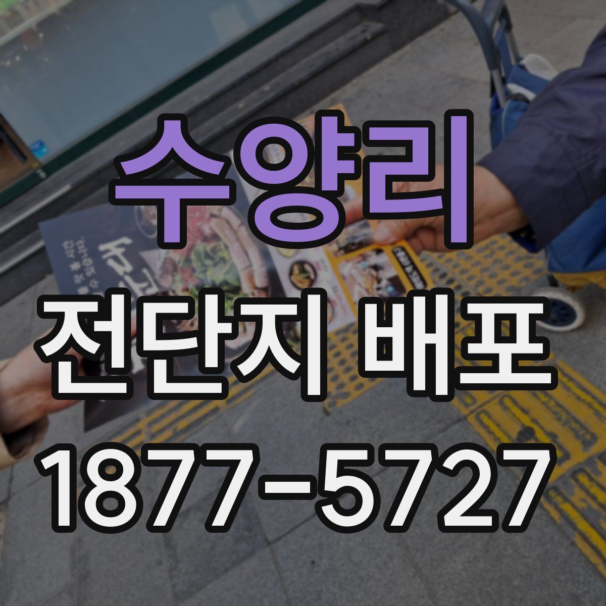 수양리 전단지 배포