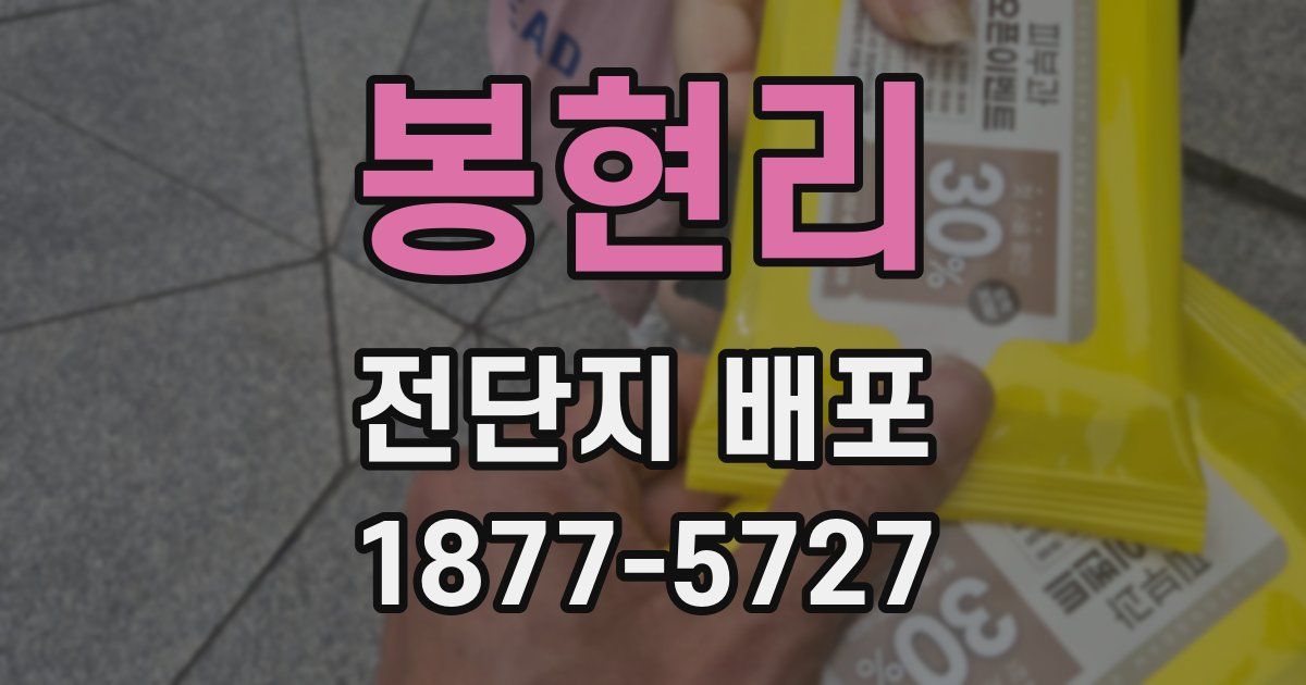 봉현리 전단지 배포