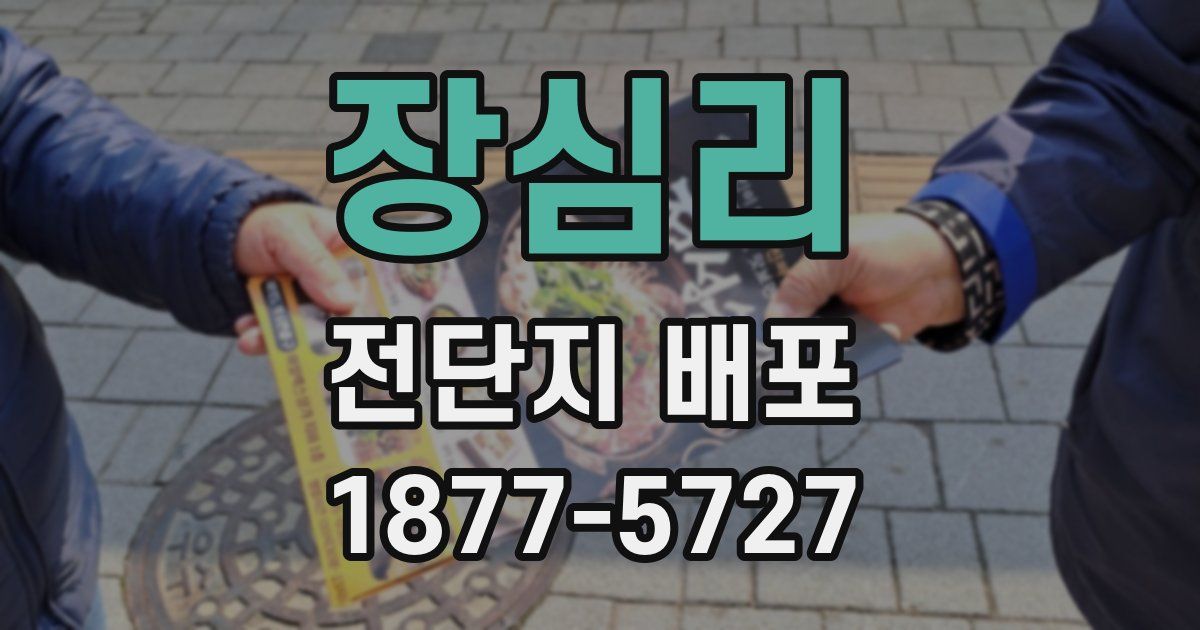 장심리 전단지 배포
