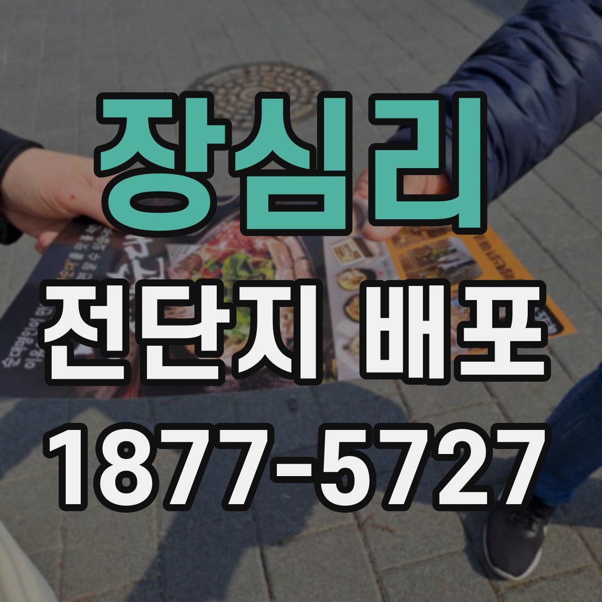 장심리 전단지 배포