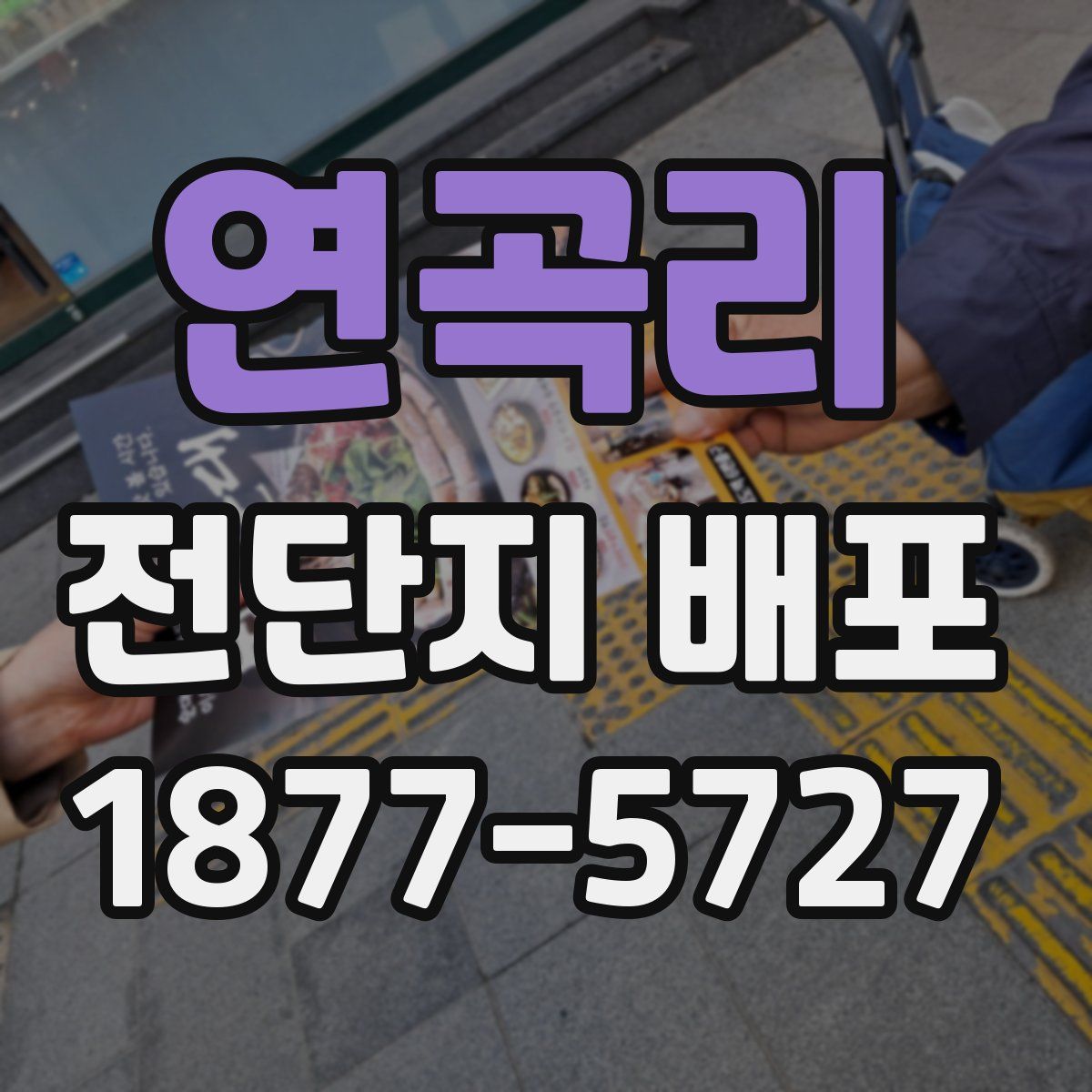 연곡리 전단지 배포