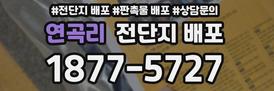 연곡리 전단지 배포