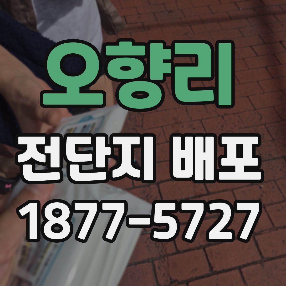 오향리 전단지 배포