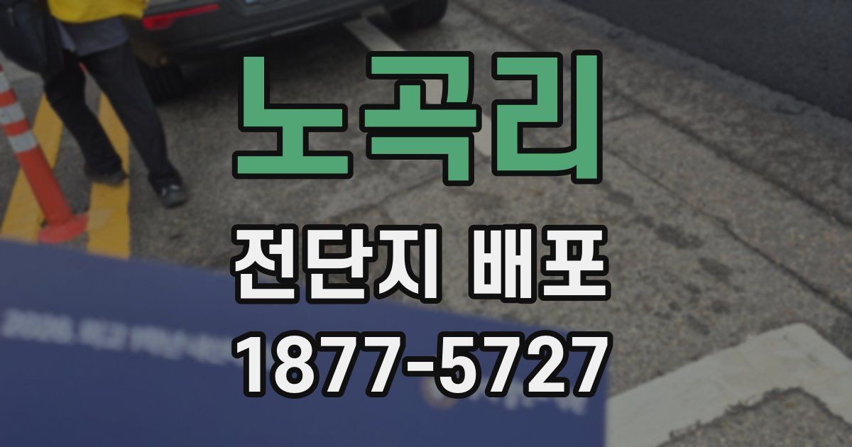 노곡리 전단지 배포