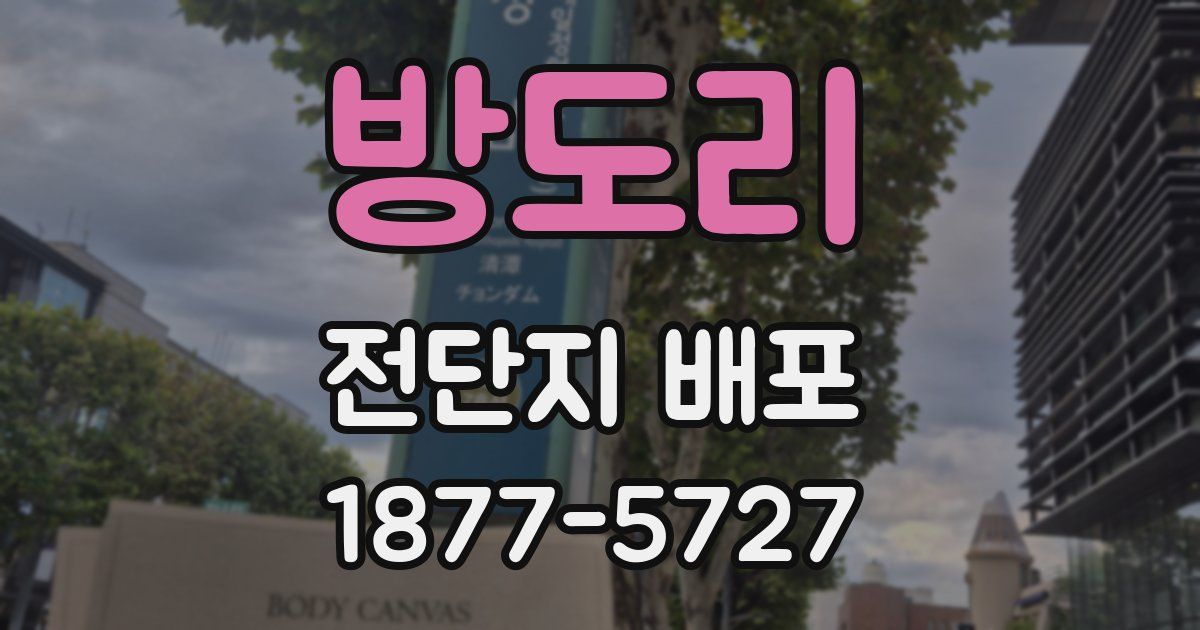 방도리 전단지 배포