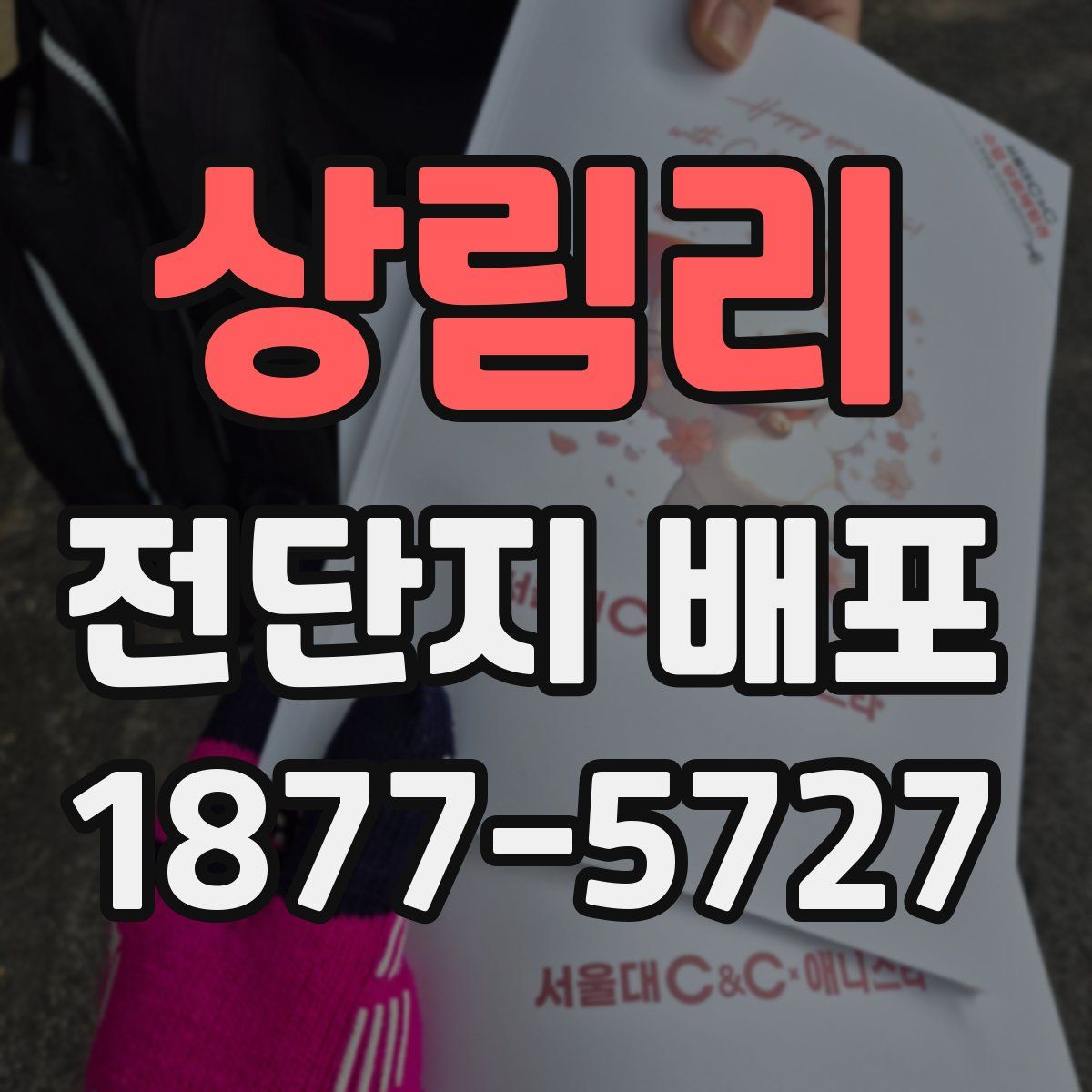 상림리 전단지 배포
