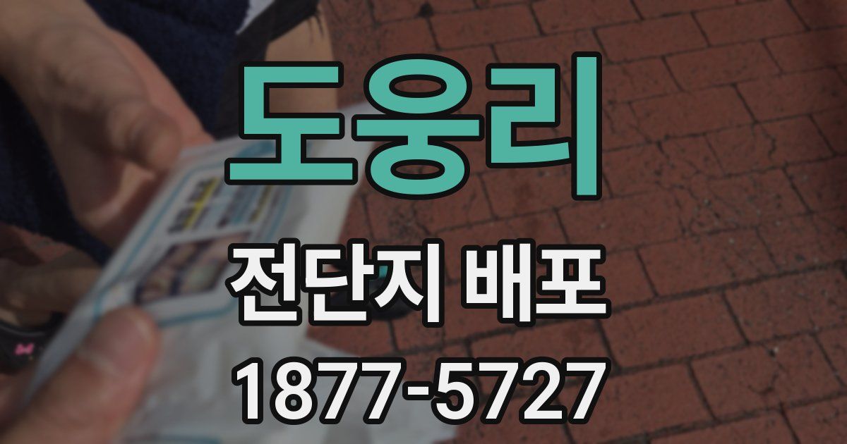 도웅리 전단지 배포