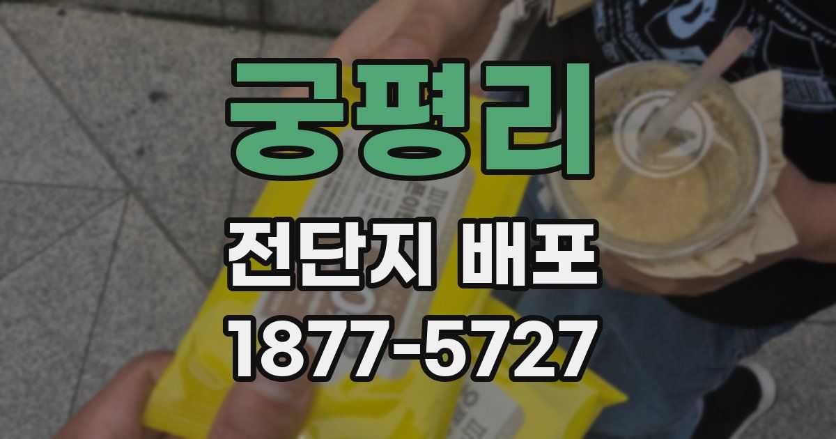 궁평리 전단지 배포