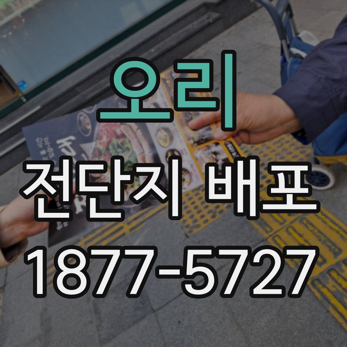 오리 전단지 배포