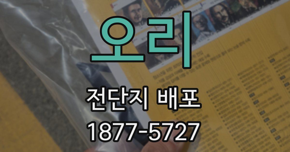 오리 전단지 배포