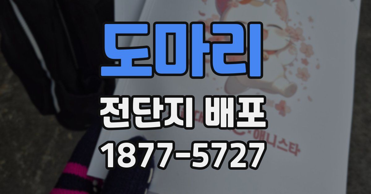 도마리 전단지 배포