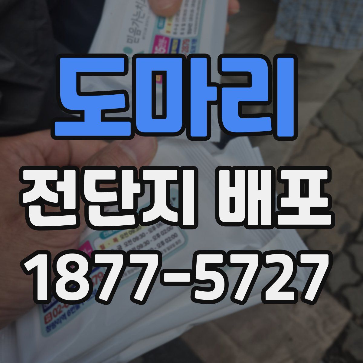 도마리 전단지 배포