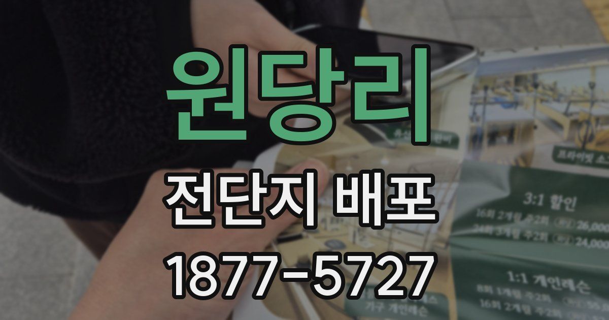 원당리 전단지 배포