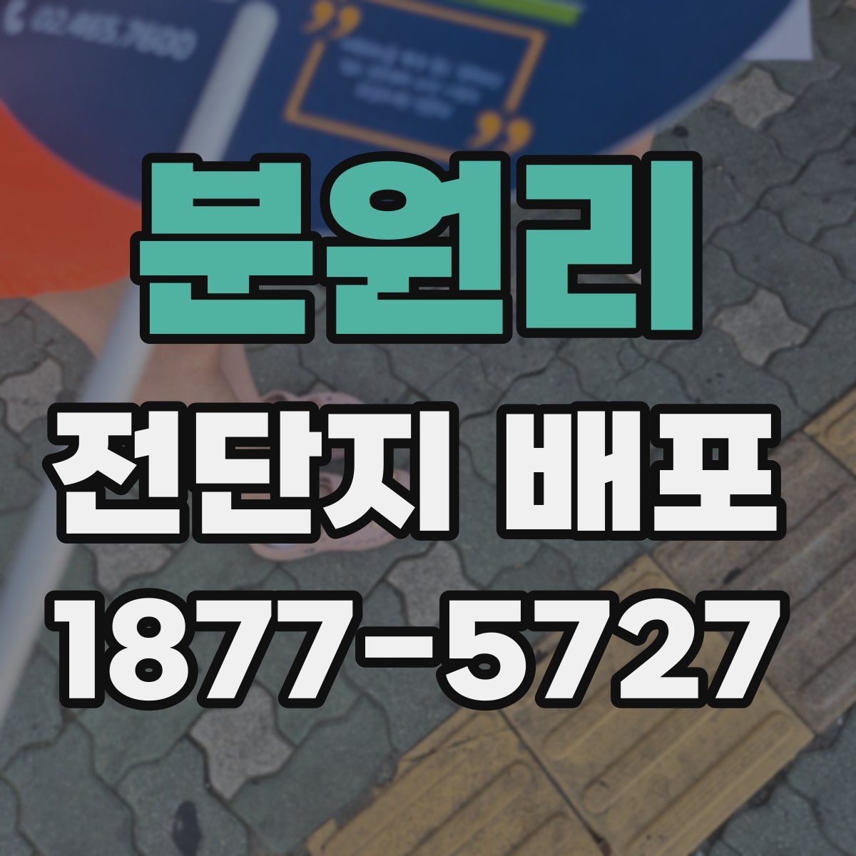 분원리 전단지 배포