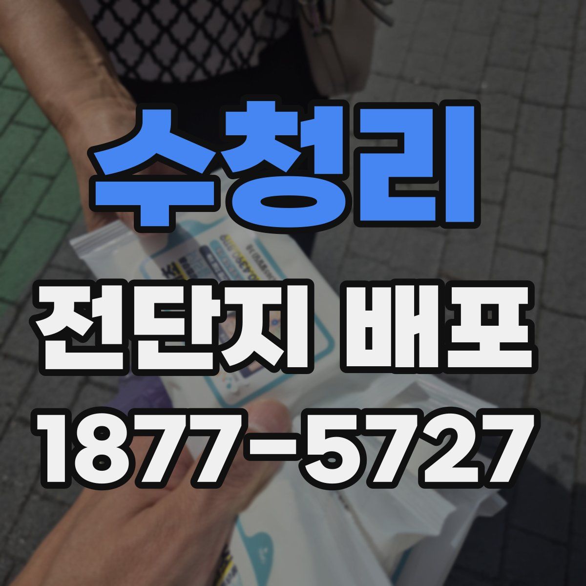 수청리 전단지 배포