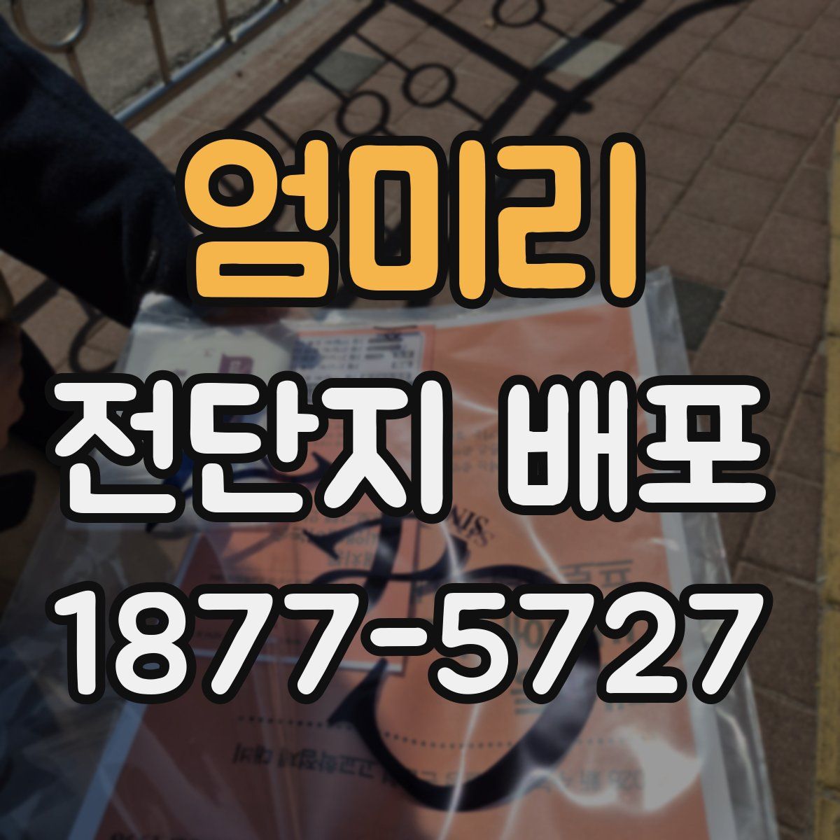엄미리 전단지 배포