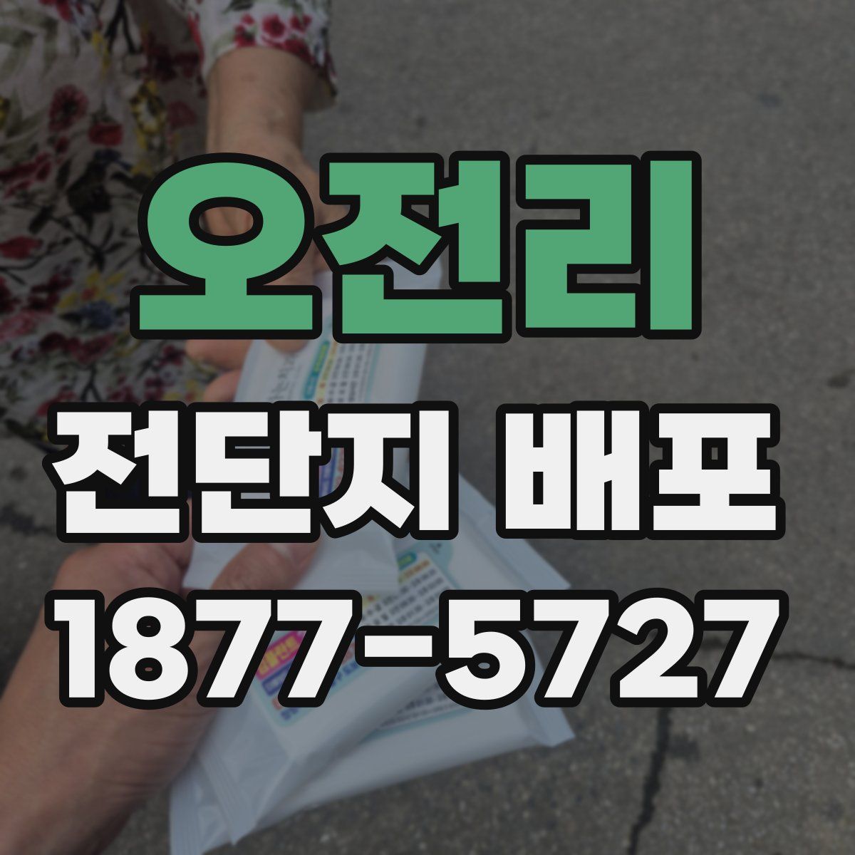 오전리 전단지 배포