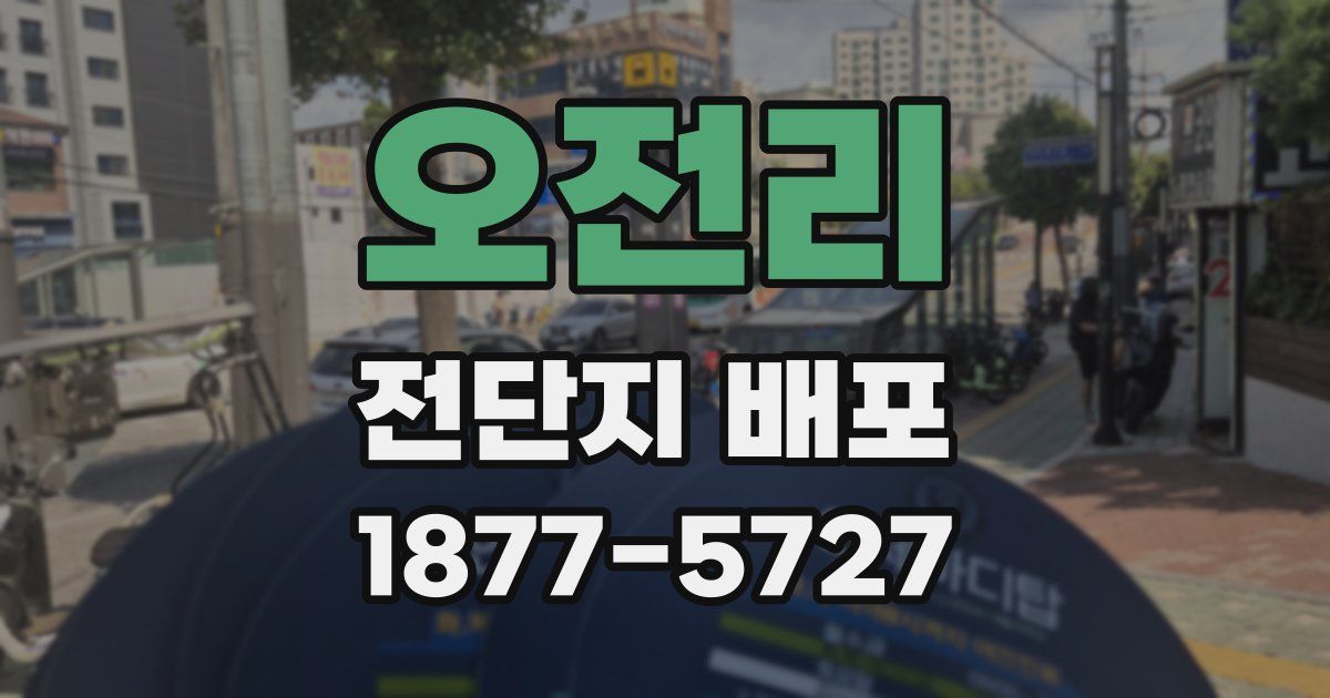 오전리 전단지 배포