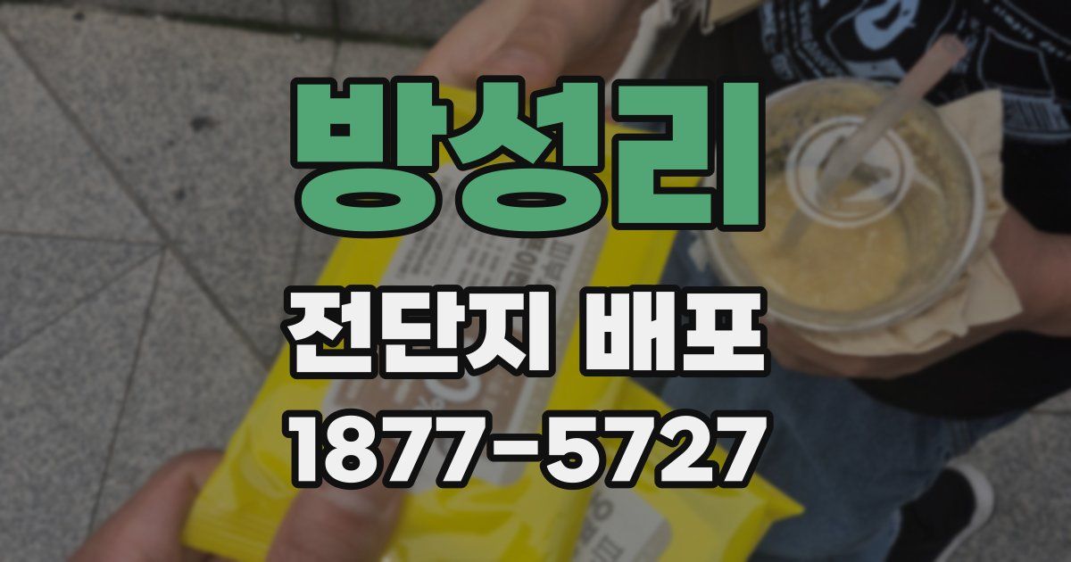 방성리 전단지 배포