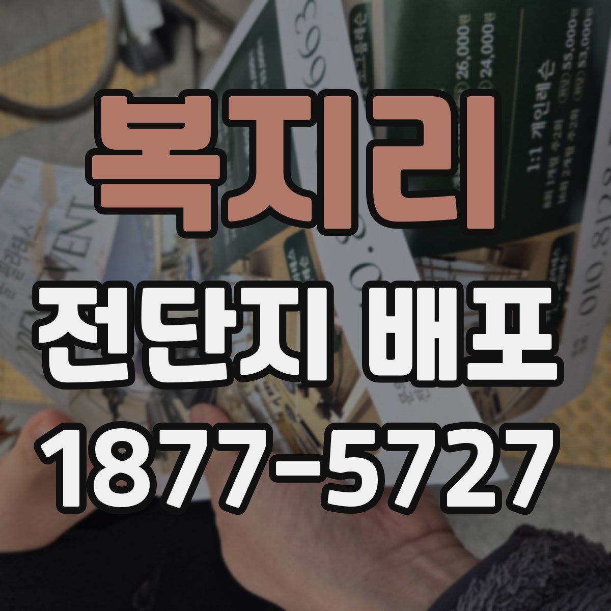복지리 전단지 배포