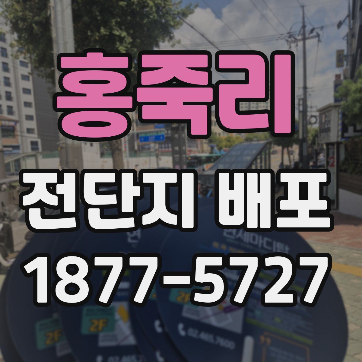홍죽리 전단지 배포