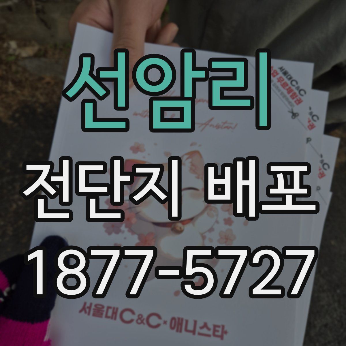 선암리 전단지 배포