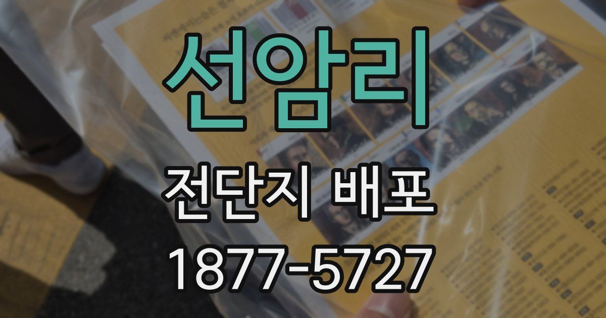 선암리 전단지 배포