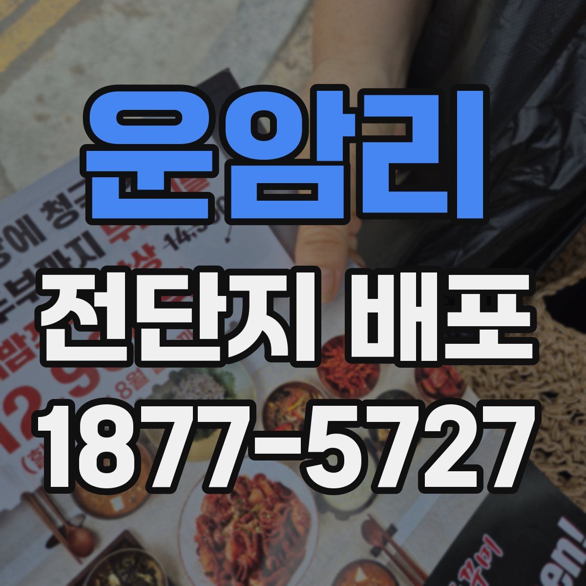 운암리 전단지 배포